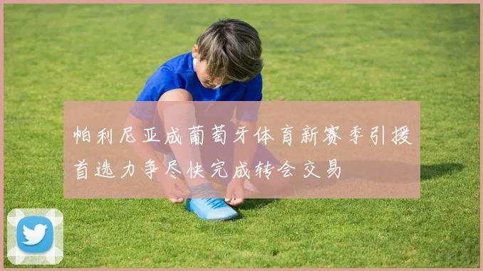 帕利尼亚成葡萄牙体育新赛季引援首选力争尽快完成转会交易